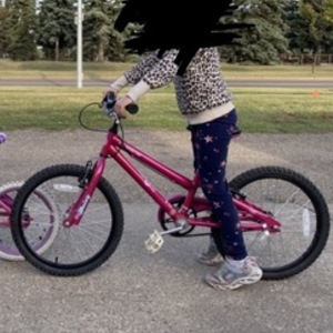 2014 Norco Bikes Daisy Pink