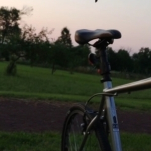 2015 Trek FX 7 Silver, gray or bare metal