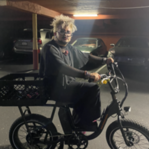 Rad Power Bikes Rad runner Black