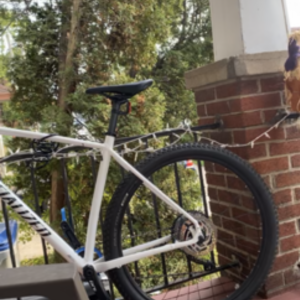 2020 Specialized Rockhopper White