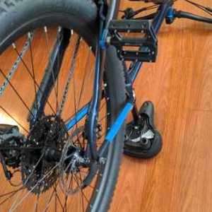 2021 Schwinn Axum DP Medium Blue