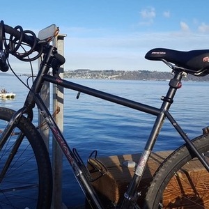 2014 Salsa Vaya Silver, gray or bare metal