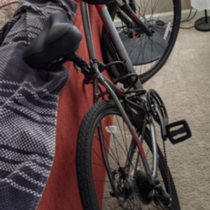 2021 Giant Cypress DX Comfort Silver, gray or bare metal