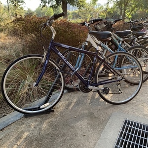 Raleigh c30 Blue