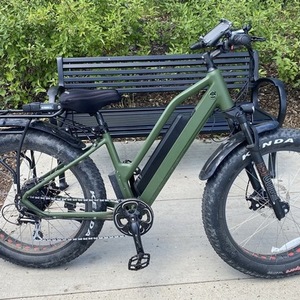 2021 Feiwei Green