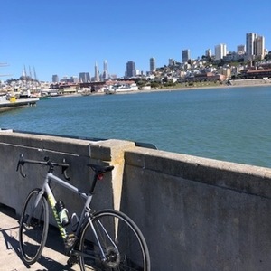 2020 Specialized Allez Elite Silver, gray or bare metal