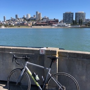 2020 Specialized Allez Elite Silver, gray or bare metal