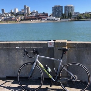 2020 Specialized Allez Elite Silver, gray or bare metal