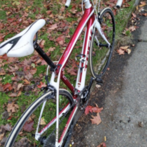 2013 Trek Domane 4.5 (Compact) White and Red