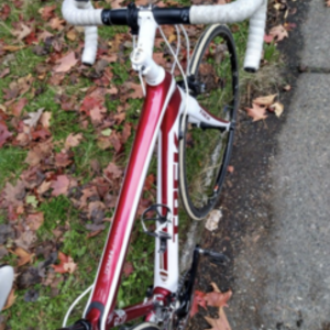2013 Trek Domane 4.5 (Compact) White and Red