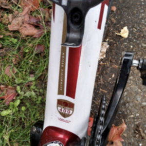 2013 Trek Domane 4.5 (Compact) White and Red