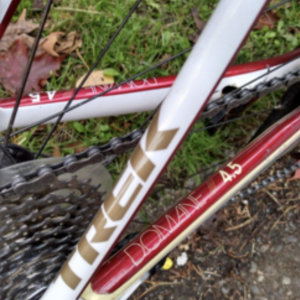 2013 Trek Domane 4.5 (Compact) White and Red