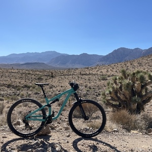 2021 Salsa Horsethief SLX Teal
