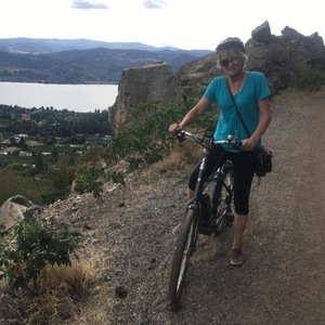 2016 Trek Mountain commuter Black