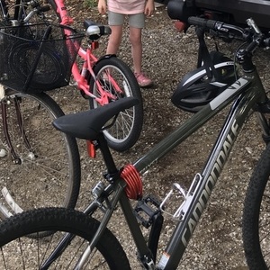 2016 Cannondale Catalyst Green