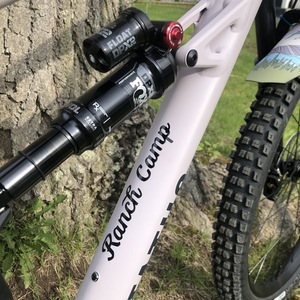 2021 Specialized Status 140 Purple