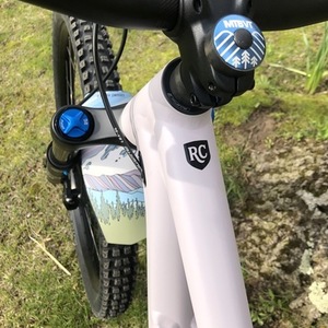 2021 Specialized Status 140 Purple