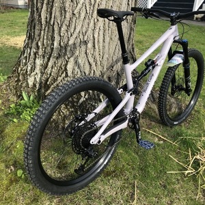 2021 Specialized Status 140 Purple