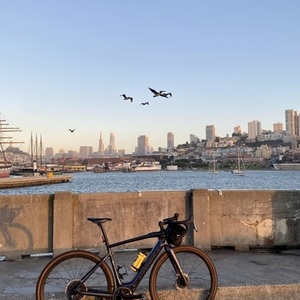2021 Specialized S-Works Turbo Creo SL Purple and Blue