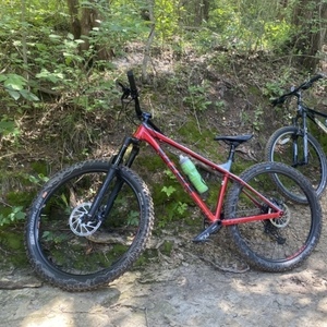 2019 Vitus Sentier Red