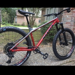 2019 Vitus Sentier Red