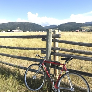2010 Specialized Langster Steel Frameset Red