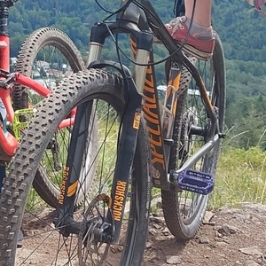 2014 Specialized Crave Expert 29 Silver, gray or bare metal and Orange