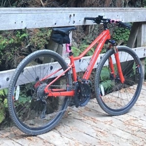 2015 Marin Bikes San Anselmo D4 Red
