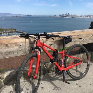 2015 Marin Bikes San Anselmo D4 Red