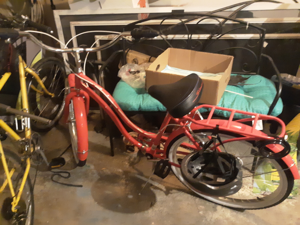 2021 Schwinn S5995AC