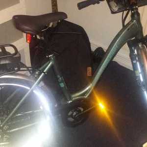 2019 Raleigh Motus Green