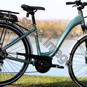 2019 Raleigh Motus Green