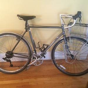 1984 Specialized Expedition Silver or Gray