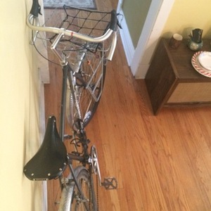 1984 Specialized Expedition Silver or Gray