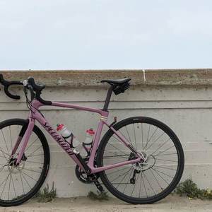 2021 Specialized Roubaix Pink
