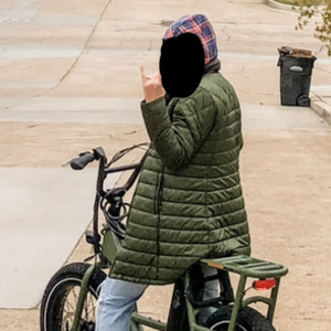 2020 Rad Power Bikes RADRUNNER Green