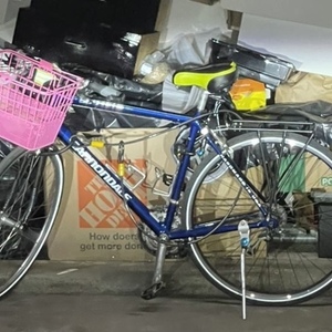 Cannondale Blue