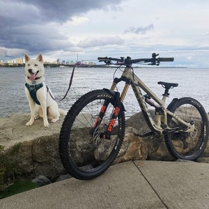 2020 Pivot Firebird 29 Silver, gray or bare metal