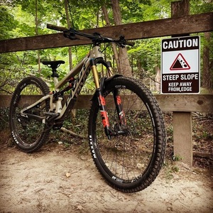 2020 Pivot Firebird 29 Silver, gray or bare metal