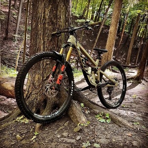 2020 Pivot Firebird 29 Silver, gray or bare metal