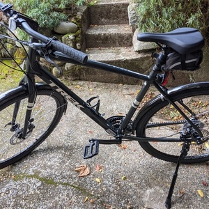 2021 Trek Verve 2 Silver, gray or bare metal