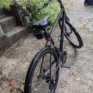 2021 Trek Verve 2 Silver, gray or bare metal