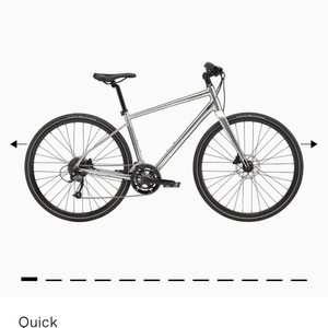 2021 Cannondale Quick 3 Silver, gray or bare metal