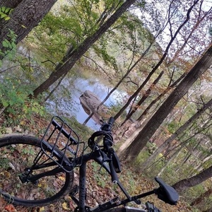 Specialized Sirrus Black and Black
