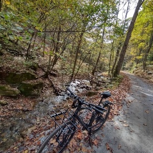 Specialized Sirrus Black and Black