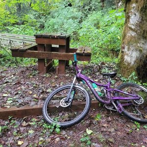 2016 Trek Extra Small Purple
