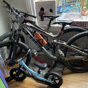 2019 Trek Fuel 7 Silver, gray or bare metal