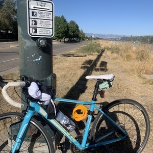 2015 Liv Avail 3 Blue