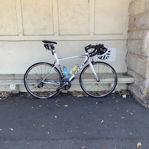 2012 Giant TCR Advanced SL (ISP) Frameset (White) White