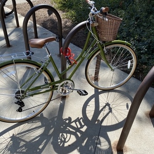 2021 Retrospec Beaumont Green
